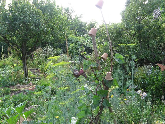Jardin de Marie Ange
